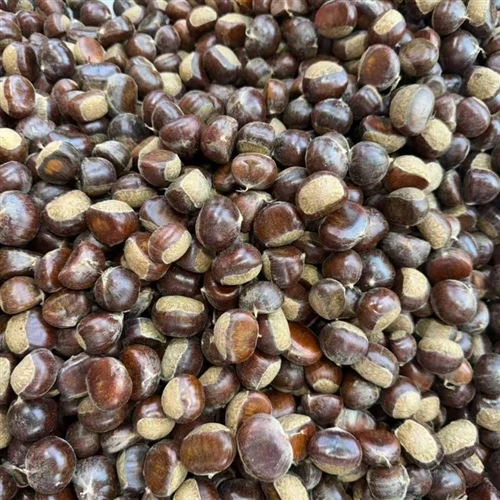 Dandong Chestnuts