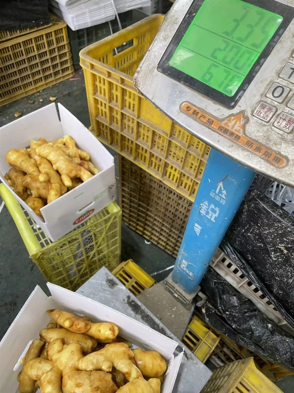 Organic Dry Ginger factory