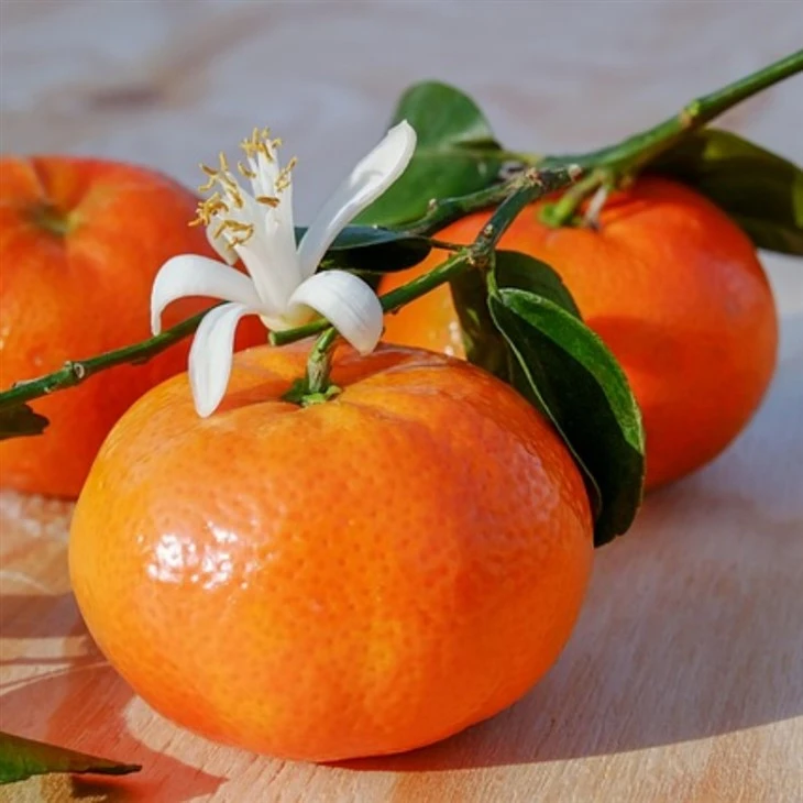 Organic Fresh Citrus Fruit