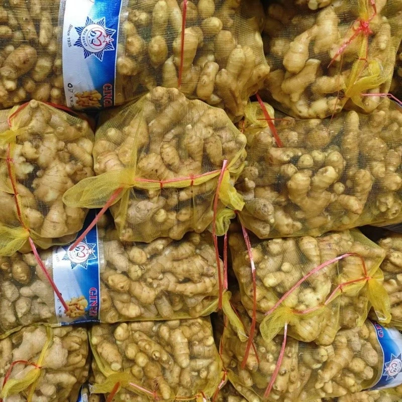Organic Fresh Ginger high quality