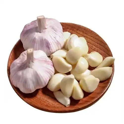 red garlic red garlic