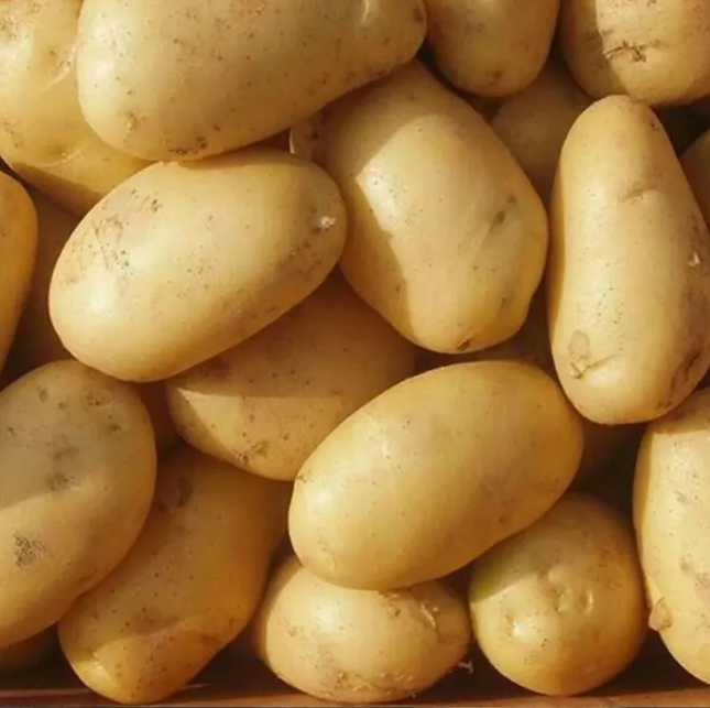 fresh potato fresh potato