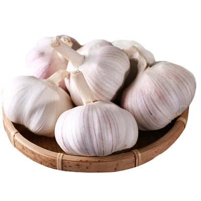 250g carton box white garlic