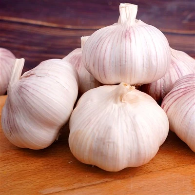 jinxiang white garlic
