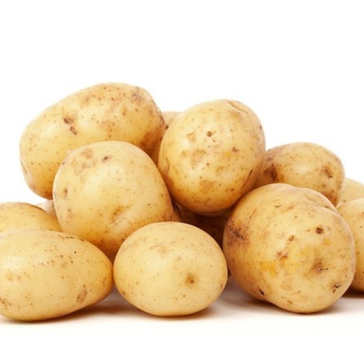 agriculture-72254640 agriculture-72254640