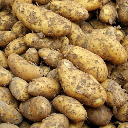potato-1422580640 potato-1422580640