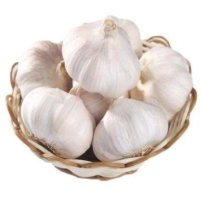 red garlic red garlic