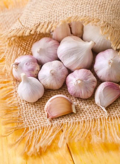 red garlic red garlic