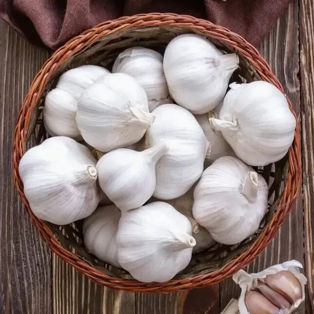 white garlic white garlic