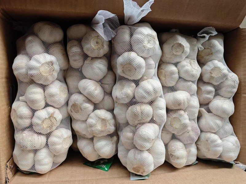 white garlic white garlic