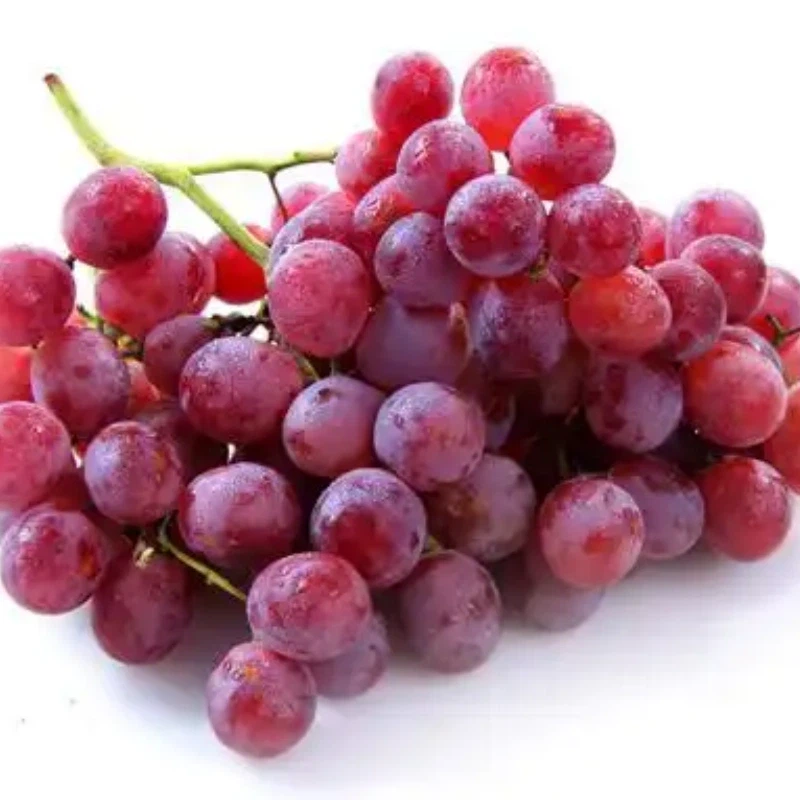 fresh grape fresh grape