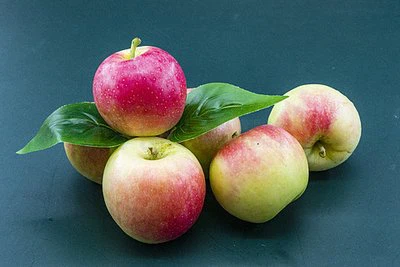 fresh gala apple fresh gala apple