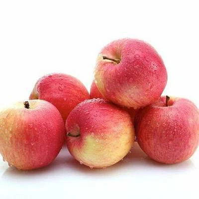 fresh gala apple fresh gala apple