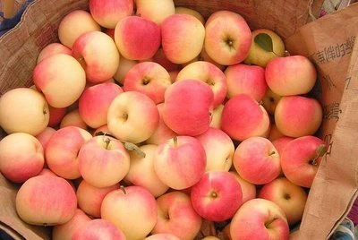 fresh gala apple fresh gala apple