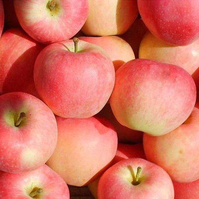 fresh gala apple fresh gala apple
