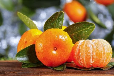 sweet nanfeng orange sweet nanfeng orange