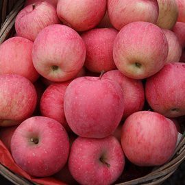 red apple red apple