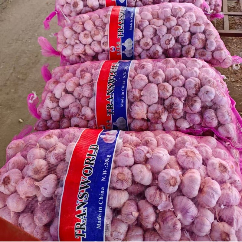 white garlic white garlic