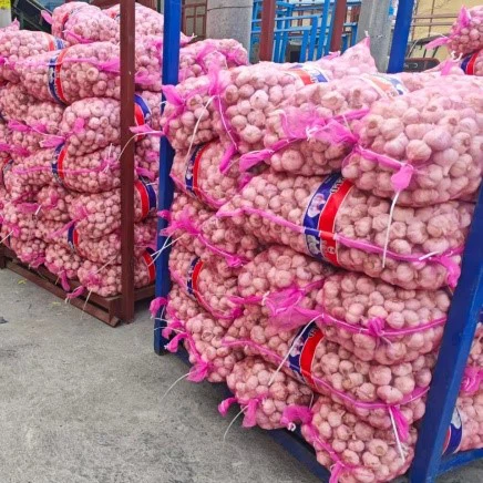 red garlic red garlic