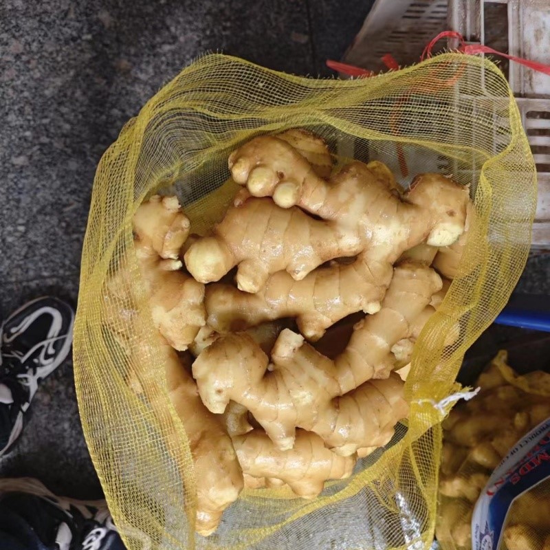 ginger ginger