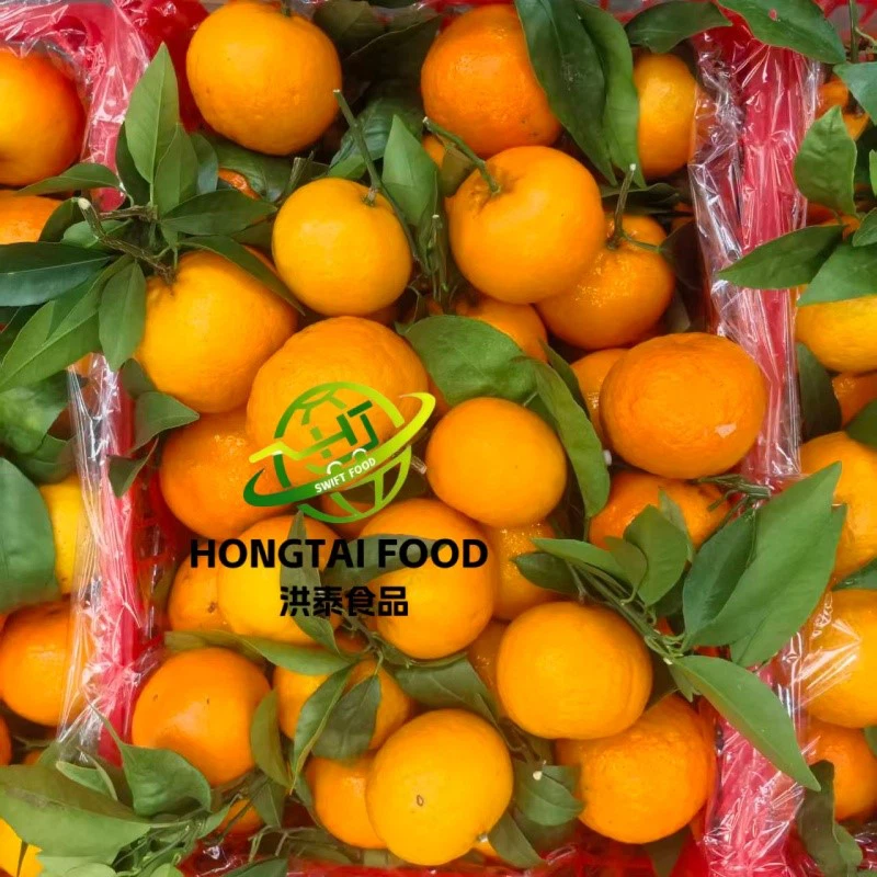 nanfeng mandarin nanfeng mandarin