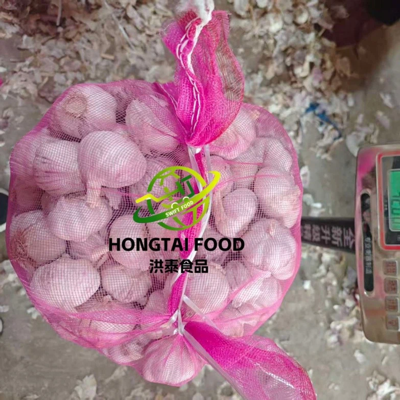 fesh garlic fesh garlic