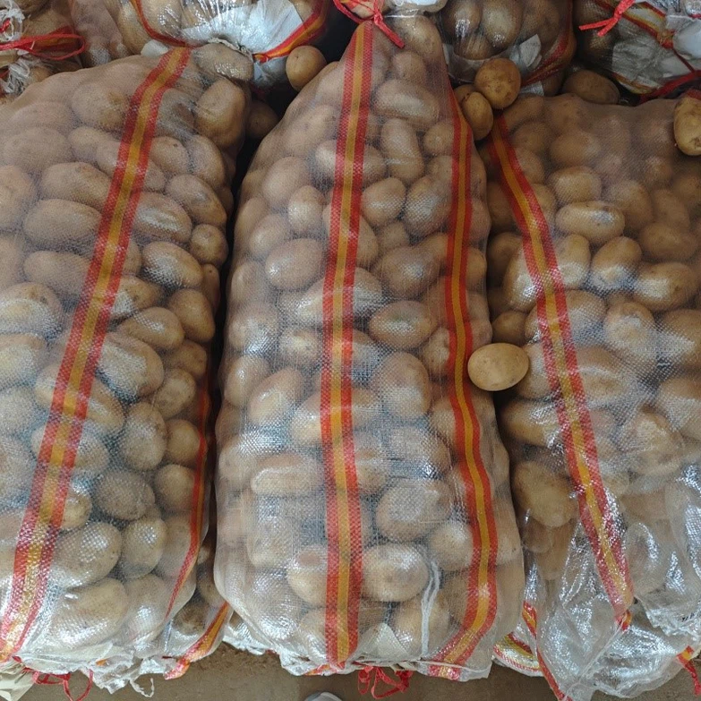 fresh potato fresh potato