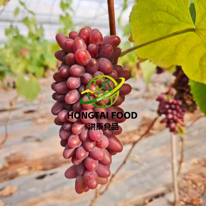 fresh grape fresh grape
