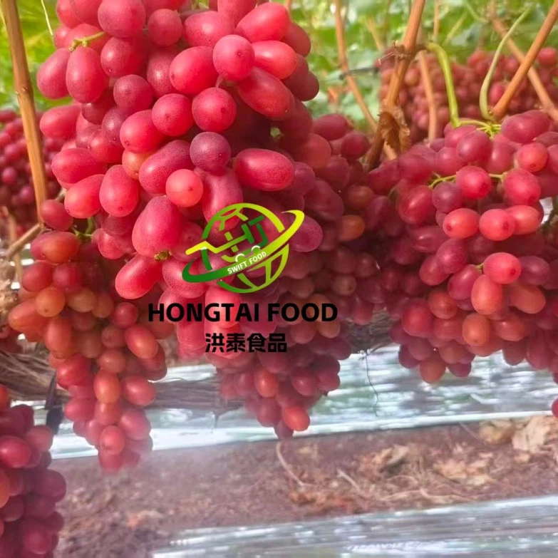 fresh grape fresh grape