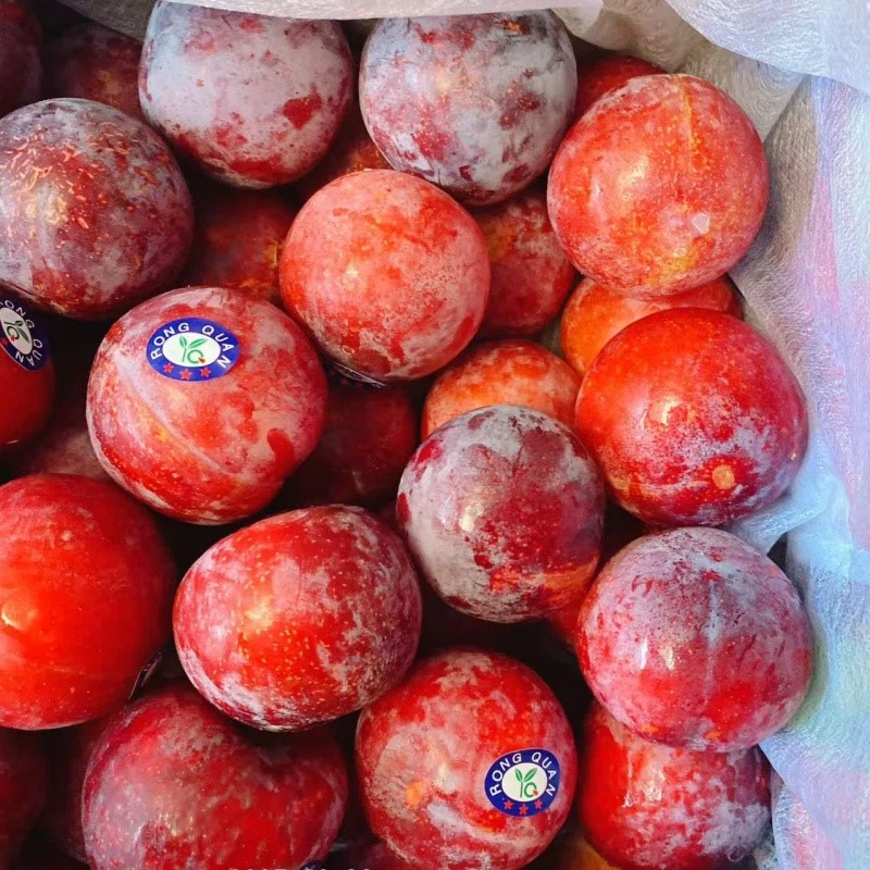 fresh plum fresh plum