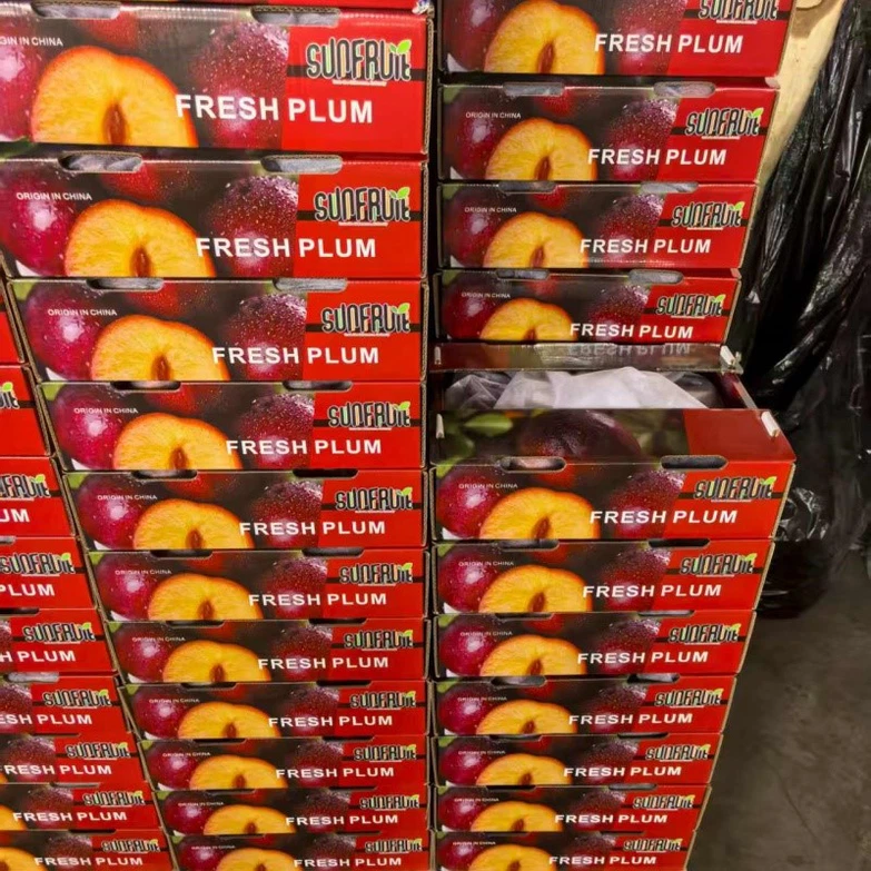 fresh sweet plum fresh sweet plum