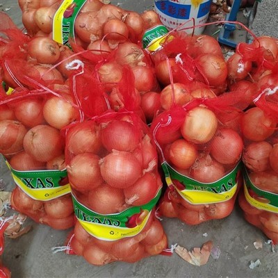 5-8cm Yellow Onion 5-8cm Yellow Onion