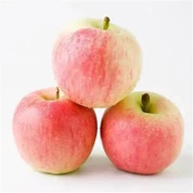 Class 1 Gala Apple