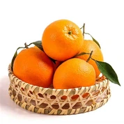 Class 1 New Hall Navel Orange