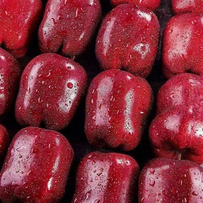 new crop Huaniu apple
