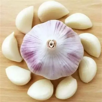 How to Use Garlic Powder Correctly