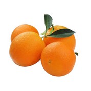 Size 50-55 Fresh Newhall Navel Orange