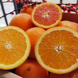 Size 72 Valencia Orange Size 72 Valencia Orange