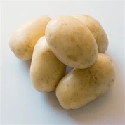 Tengzhou Fresh Potato