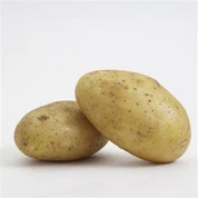 Yulin Fresh Potato