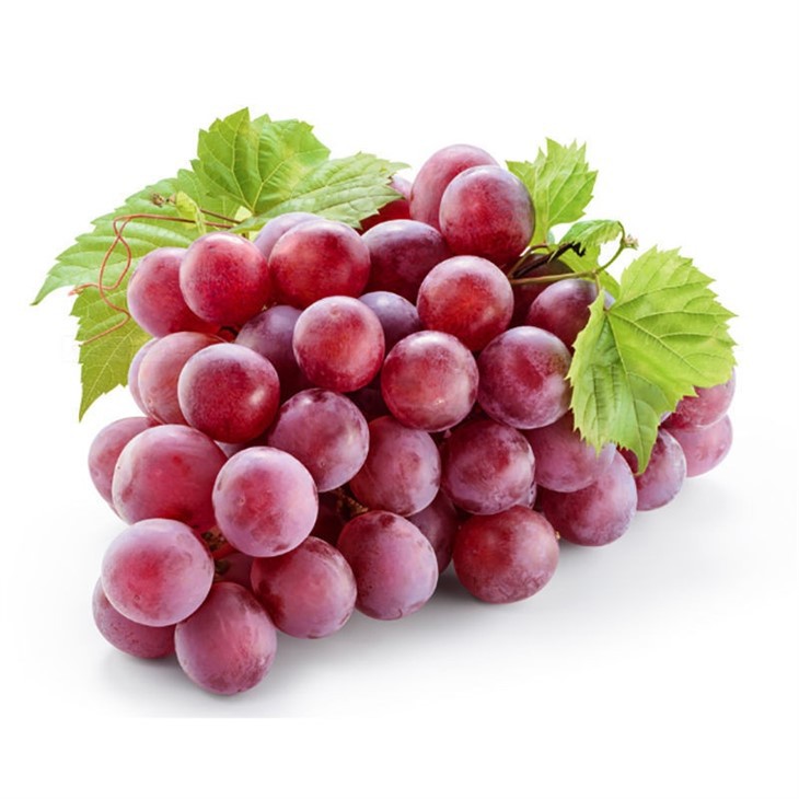 info-1-1 Super Quality Fresh Grape Fresh Crimson Fruits For Exporting
