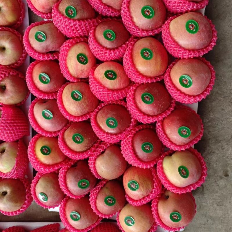 Sweet Red Gala Apple