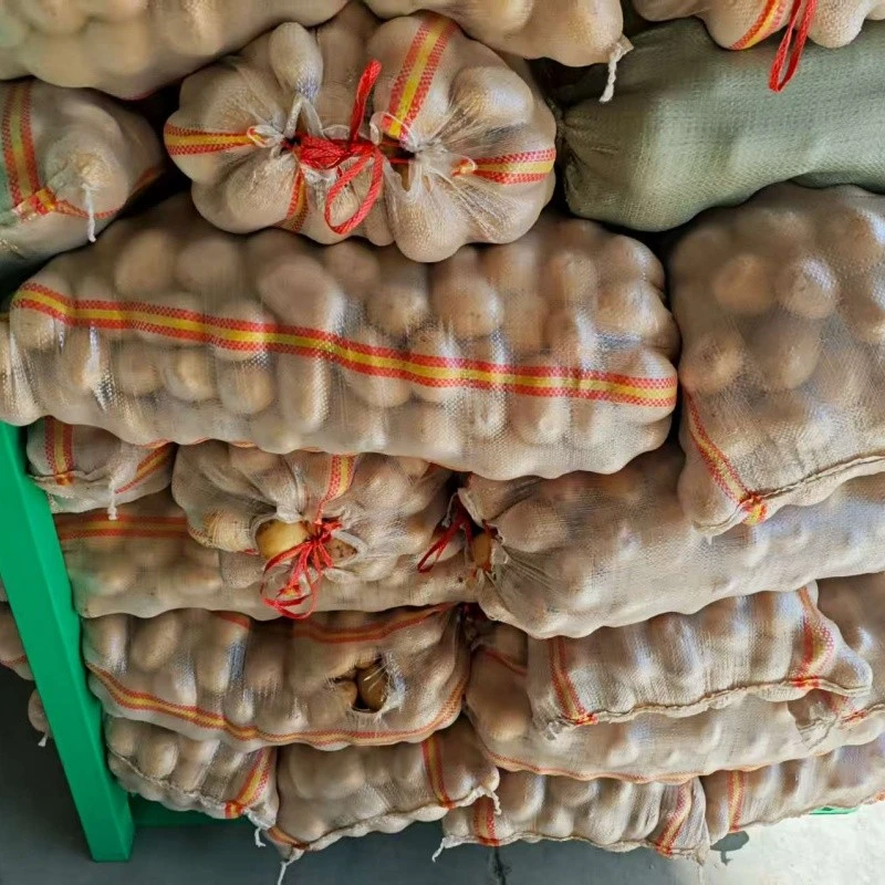 Tengzhou Fresh Potato price
